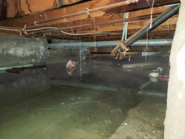 Best Water damage cleanup near me  in Sunrise Beach Village, TX