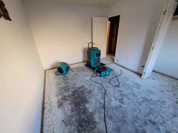 Best Water damage restoration near me  in Sunrise Beach Village, TX