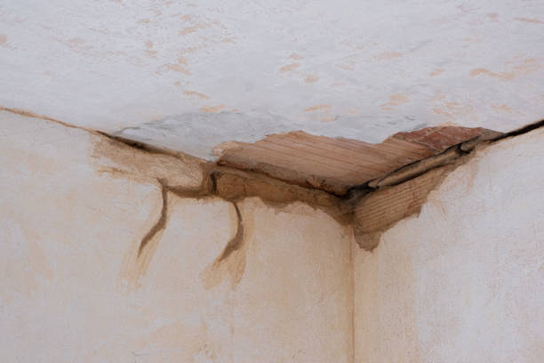 Best Residential water damage restoration  in Sunrise Beach Village, TX