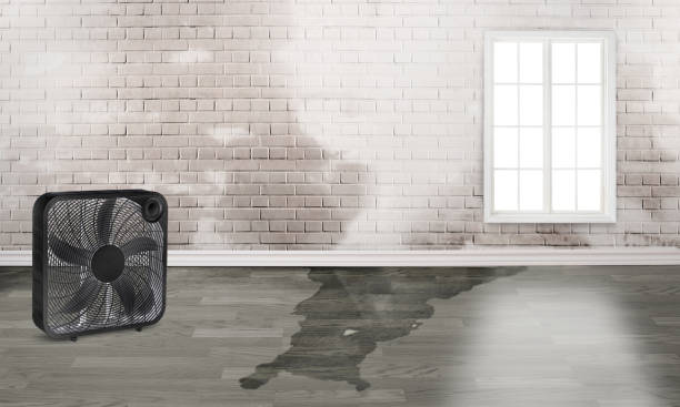 Best Water damage restoration insurance claims  in Sunrise Beach Village, TX