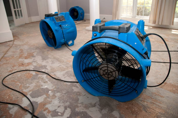 Best Mold removal after water damage  in Sunrise Beach Village, TX